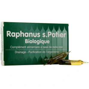 Raphanus S.Potier Biologique