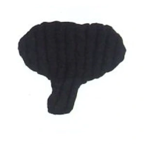 Sigvaris CHIP PAD GENIFIT Femme Capitonnage Génital NORMAL