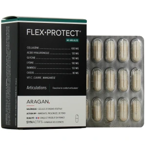 Synactifs Flex Protect Articulations