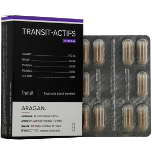 Synactifs Transit Actifs