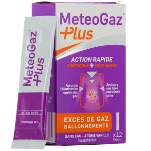 Meteogaz Plus