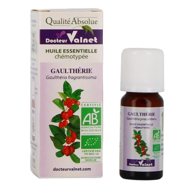 Docteur Valnet Huile Essentielle Gaulthérie