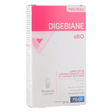 Pileje Digebiane sBO