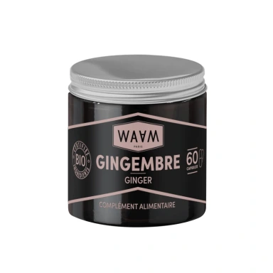Waam Gingembre