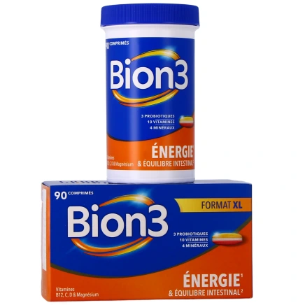 BION 3 Énergie