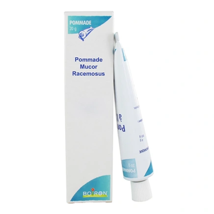 Boiron Mucor Racemosus 8DH pommade