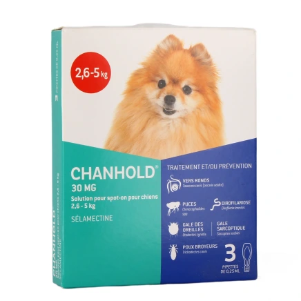 Clément Thekan Chanhold