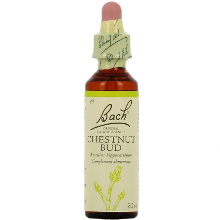 Fleurs de Bach Chestnut Bud n°7
