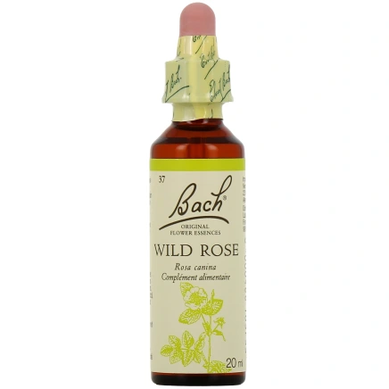 Fleurs de Bach Wild Rose n°37