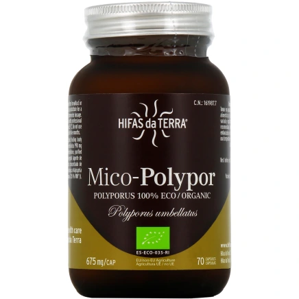 Hifas da Terra Mico-Polypor