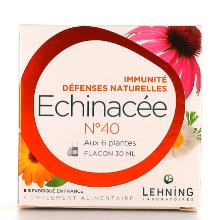 Lehning Echinacée n°40