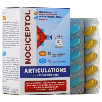 Nociceptol Articulations