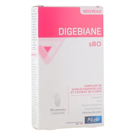 Pileje Digebiane sBO