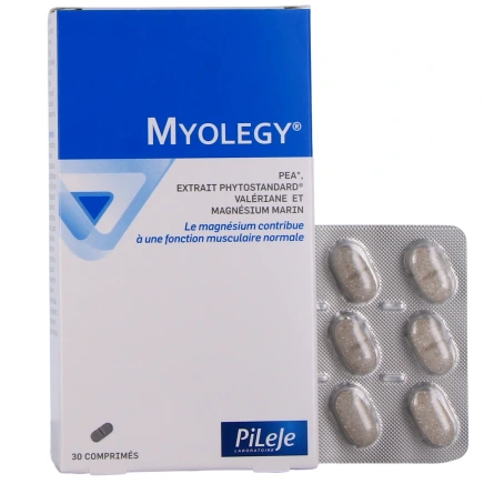 Pileje Myolegy