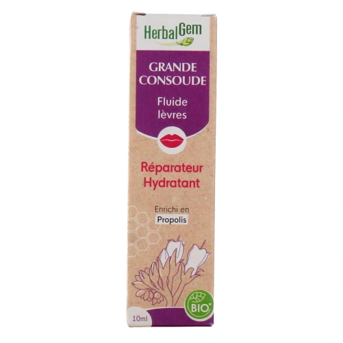 Herbalgem Baume à Lèvres Réparateur Grande Consoude Bio