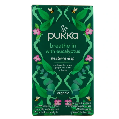 Pukka Tisane Inspiration à l'Eucalyptus Bio