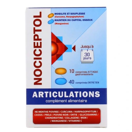 Nociceptol Articulations