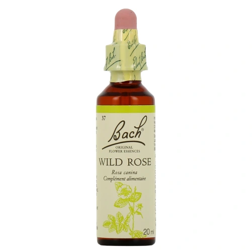 Fleurs de Bach Wild Rose n°37