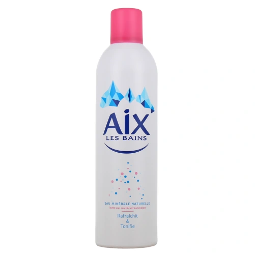 Hartmann Brumisateur Aix-les-Bains