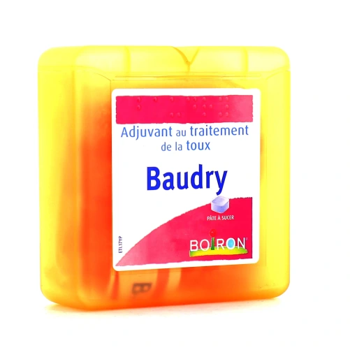 Boiron Pâtes Baudry