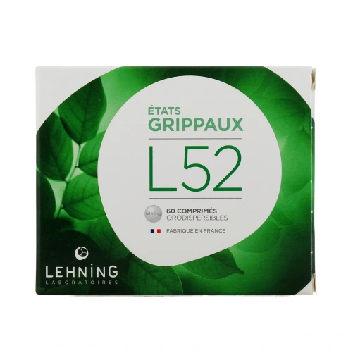 Lehning L52 Etats Grippaux