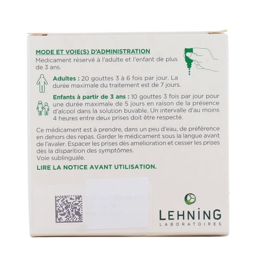 Lehning L52 Etats Grippaux