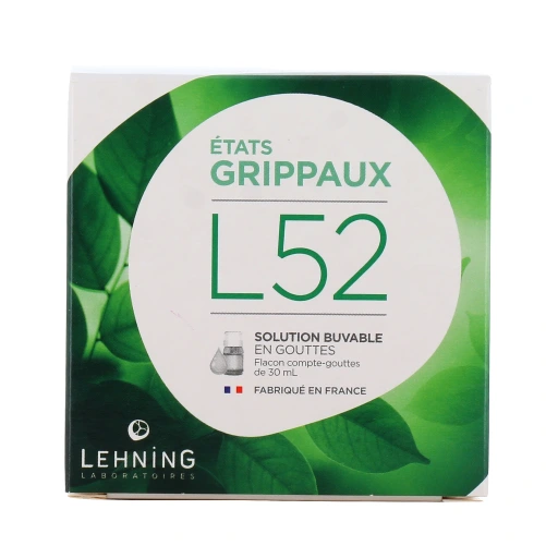 Lehning L52 Etats Grippaux