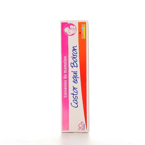 Castor equi Crevasses du Mamelon