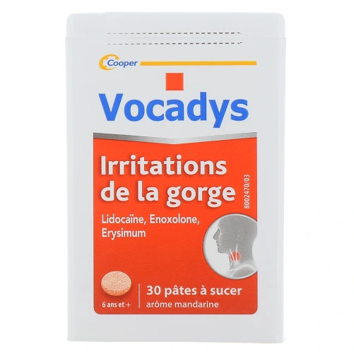 Vocadys Pâtes à Sucer Irritations de la Gorge