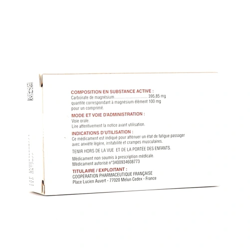Mag 2 100mg comprimés