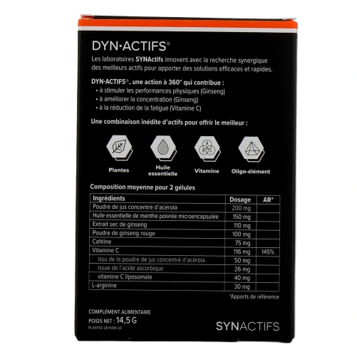 Synactifs Dyn Actifs