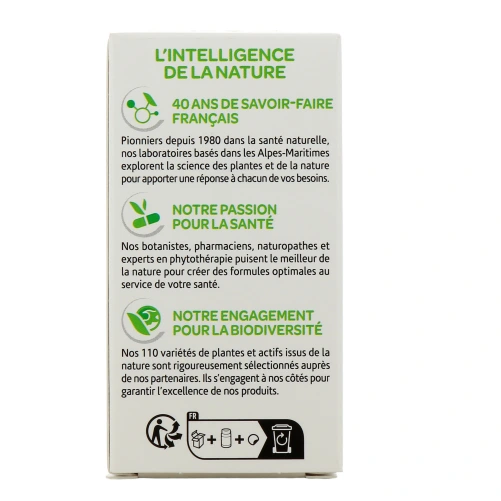 Arkogélules GYMNEMA Sylvestre