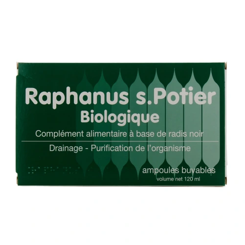 Raphanus S.Potier Biologique