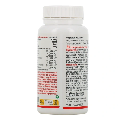 Holistica Ultra Vegan B