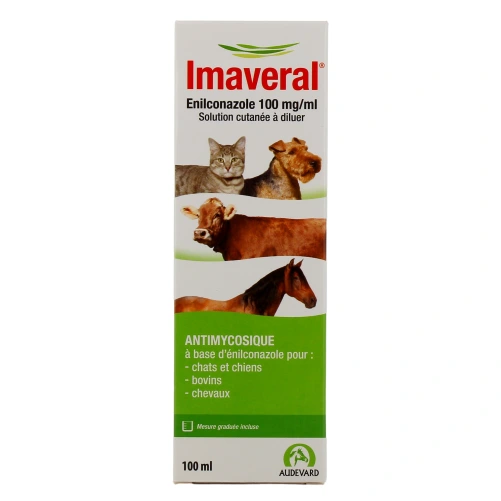 Imaveral Solution Cutanée Antimycosique pour Animaux