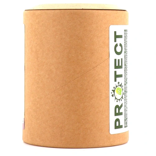 Nat & Form Levure de Bière Revivifiable Bio