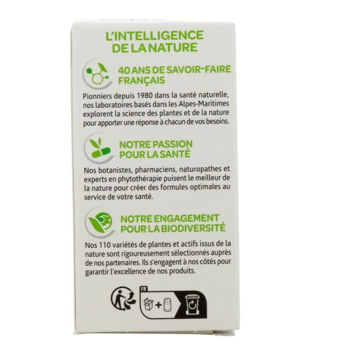 Arkogélules Ispaghul Psyllium Blond Bio