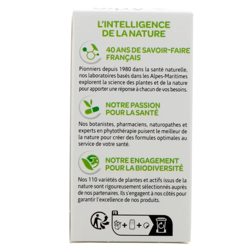 Arkogélules Guarana Bio