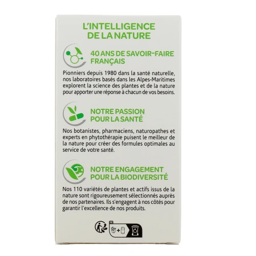 Arkogélules Desmodium