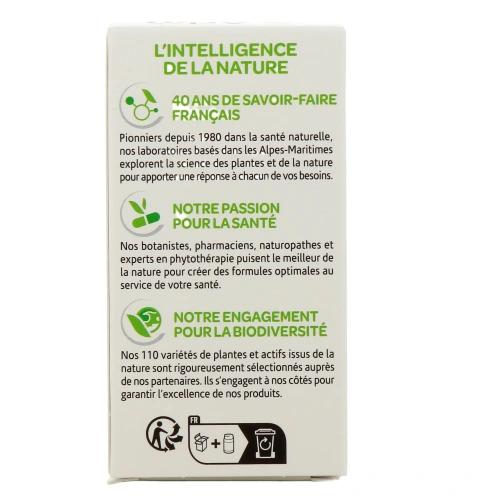 Arkogélules Mélisse