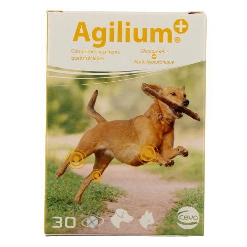 Agilium+