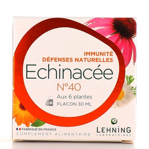 Lehning Echinacée n°40