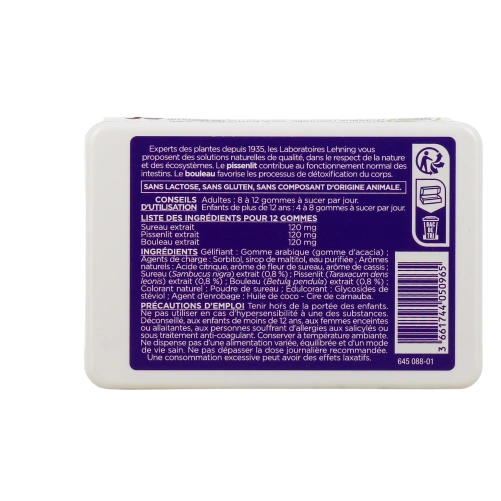 Lehning Pâte Suisse Détox