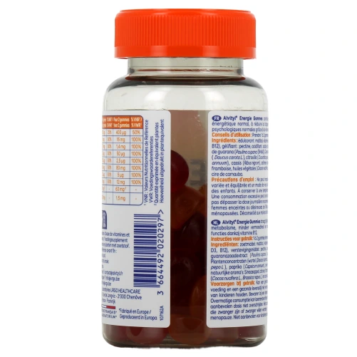 Alvityl Energie Gommes