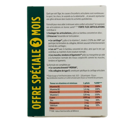 Forté Flex Articulations