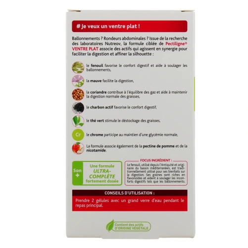 Pectiligne Ventre Plat
