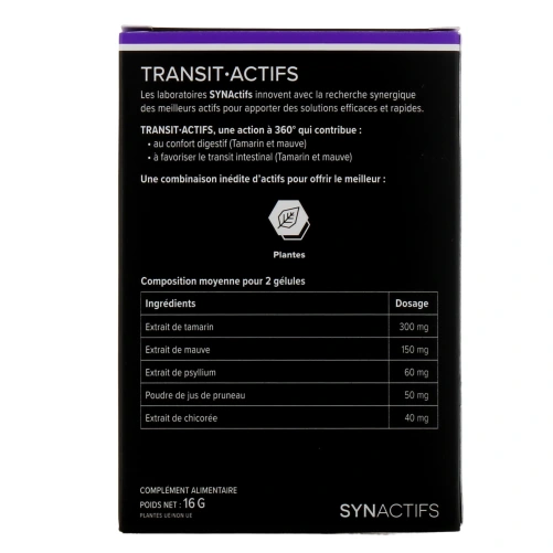Synactifs Transit Actifs