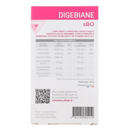 Pileje Digebiane sBO