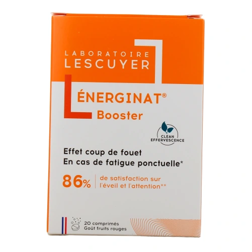 Énerginat Booster