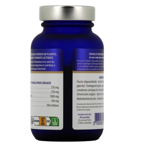 Kersiens Ventre Plat